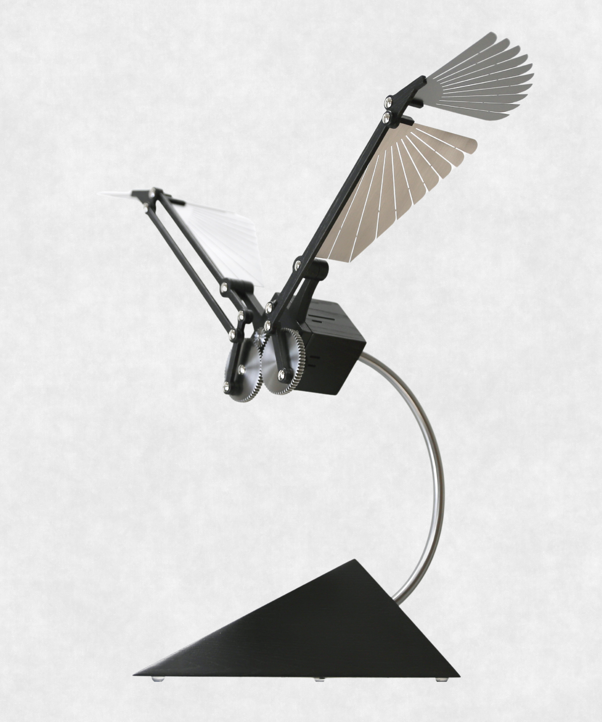 Aquila SE Silver - By Lukas Schilling