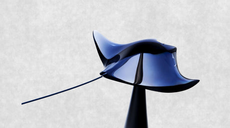 MANTA RAY