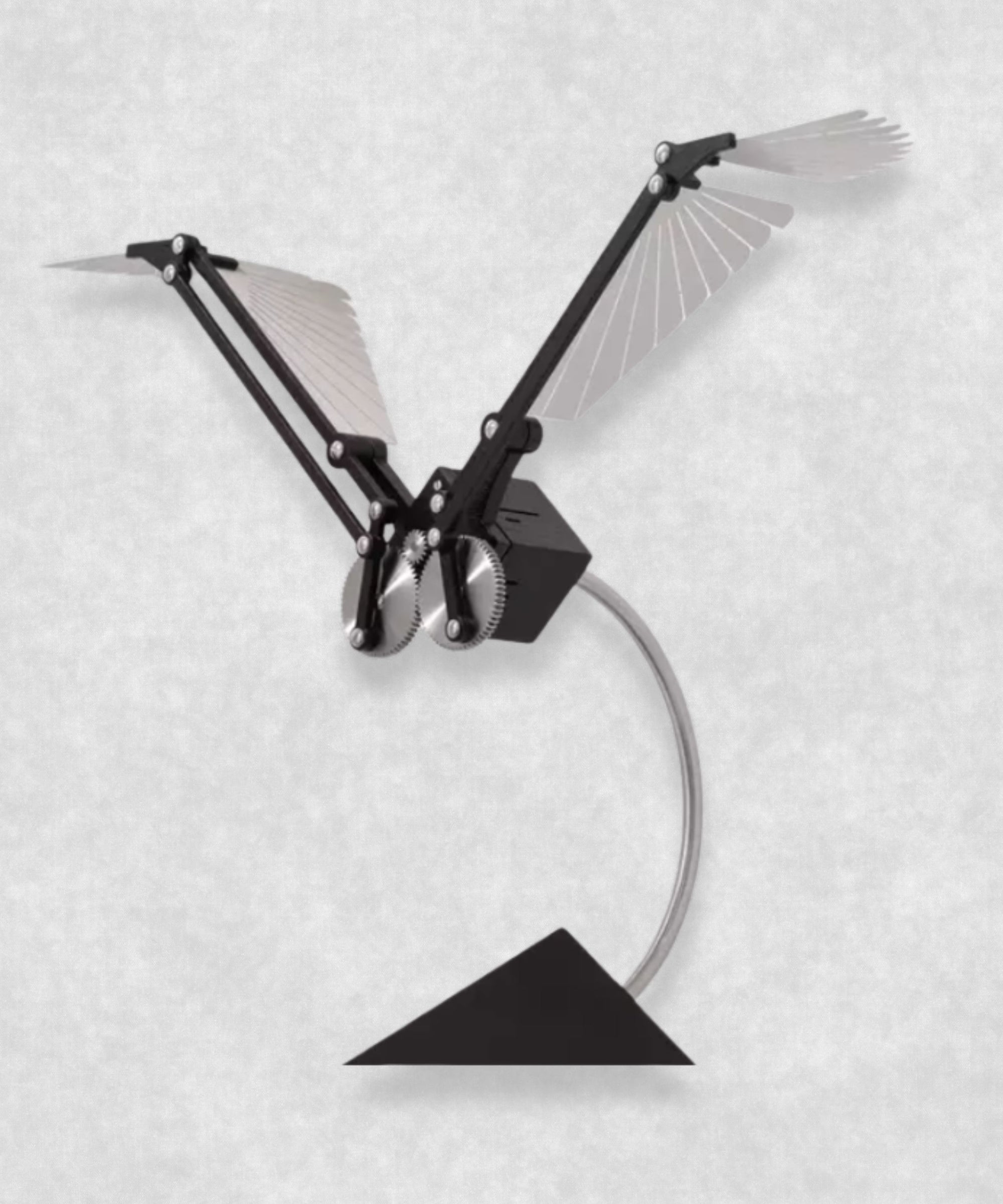 Aquila SE Silver - By Lukas Schilling