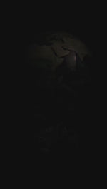 VIDEO EARTH GLOBE SPINNING