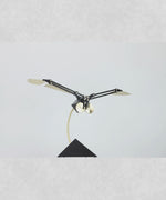 Aquila SE Gold Video