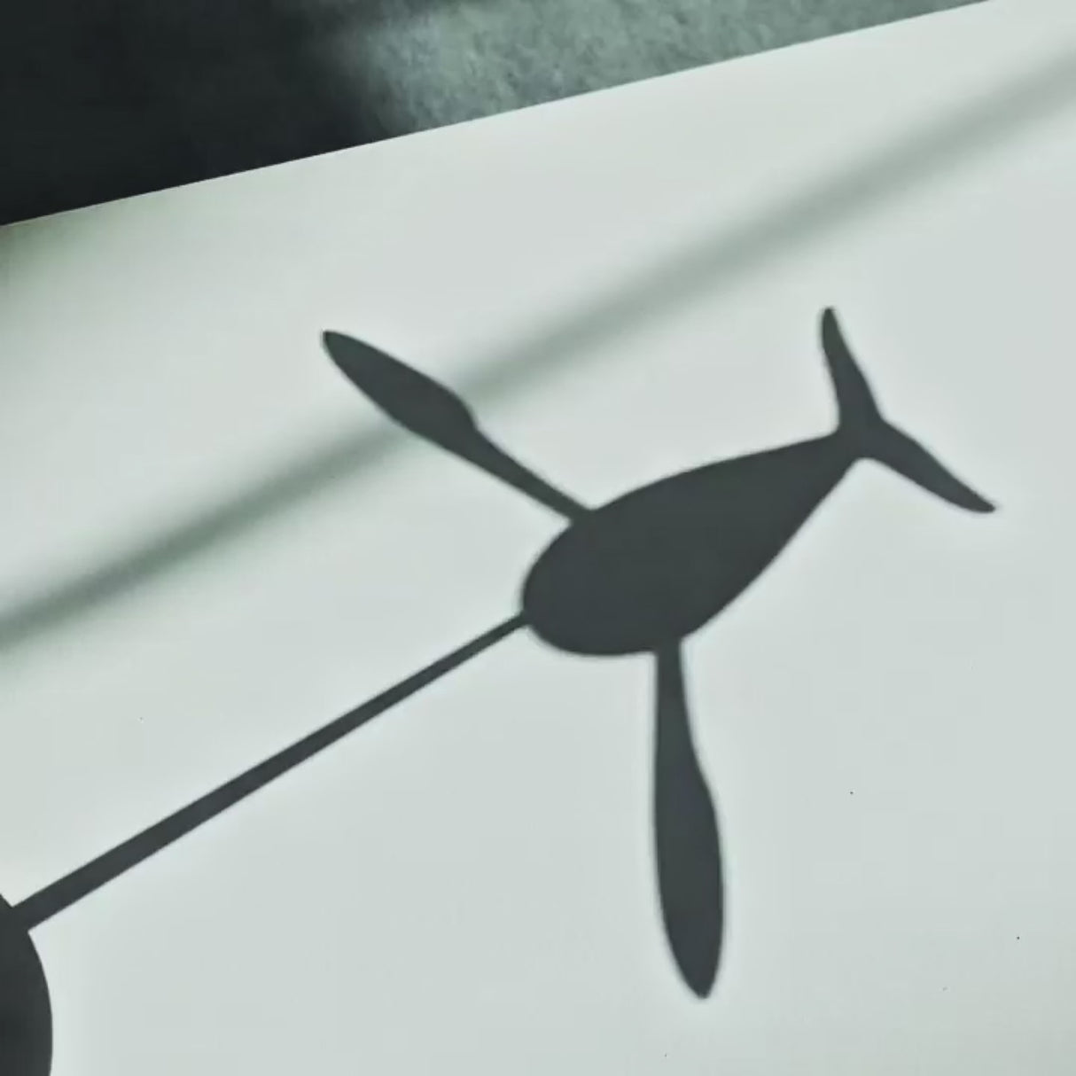 Flying whale in motion