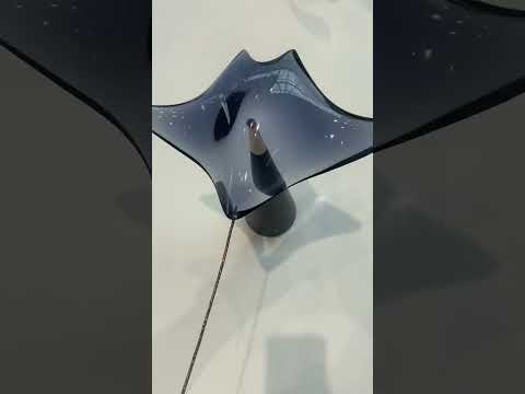 MANTARAY FOR DESK
