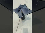 MANTARAY FOR DESK