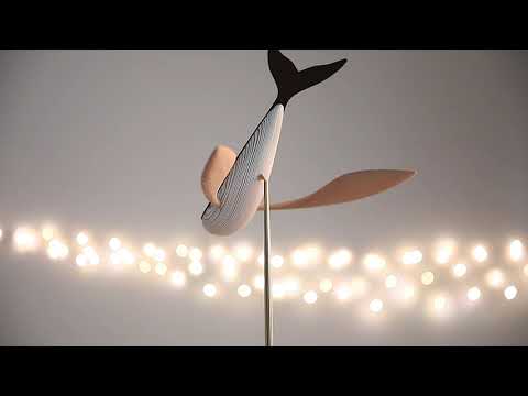 FLYING WHALE